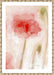 Floral Impression in Coral II Wall Art