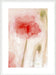 Floral Impression in Coral II Wall Art