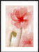 Floral Impression in Coral I Wall Art