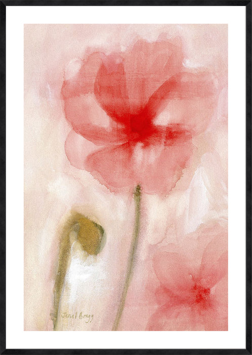 Floral Impression in Coral I Wall Art
