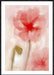 Floral Impression in Coral I Wall Art