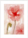 Floral Impression in Coral I Wall Art