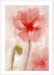 Floral Impression in Coral I Wall Art