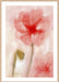 Floral Impression in Coral I Wall Art