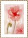 Floral Impression in Coral I Wall Art