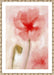 Floral Impression in Coral I Wall Art