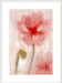 Floral Impression in Coral I Wall Art