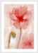 Floral Impression in Coral I Wall Art