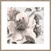 Free Blooms I Wall Art