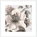 Free Blooms I Wall Art