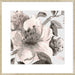 Free Blooms I Wall Art