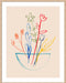 Fun Bunch II Wall Art