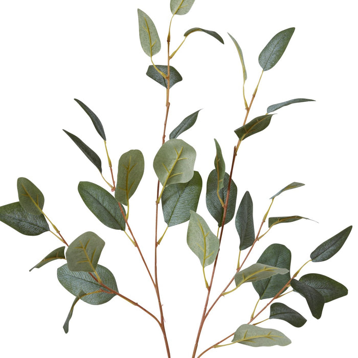 Eucalyptus Spray Pack Of 12 - Grey Green, 90cm (H)