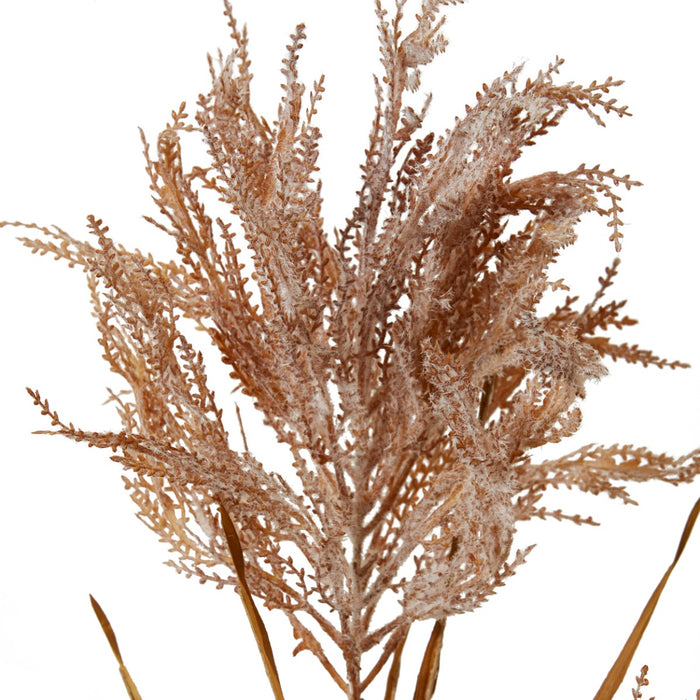 Pampas Field Grass Decor Spray Pack Of 12 - Rust, 120cm (H)
