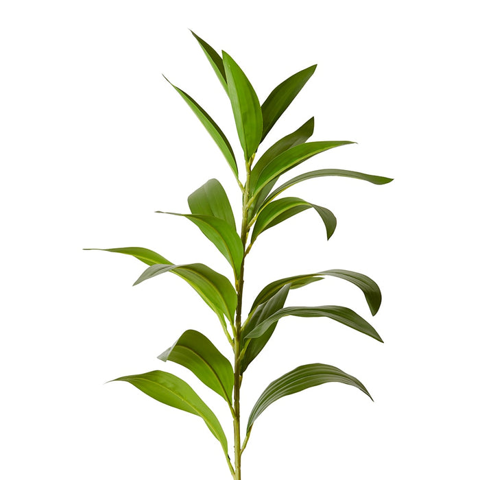 Lily Leaf Spray Pack Of 12 - Green, 100cm (H)