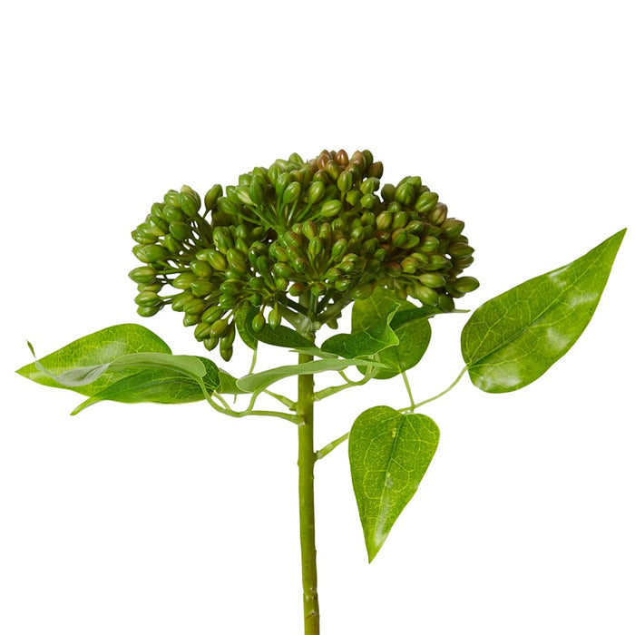 Sedum Spray Pack Of 12 - Green/Burgundy, 43cm (H)