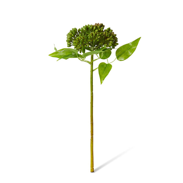 Sedum Spray Pack Of 12 - Green/Burgundy, 43cm (H)