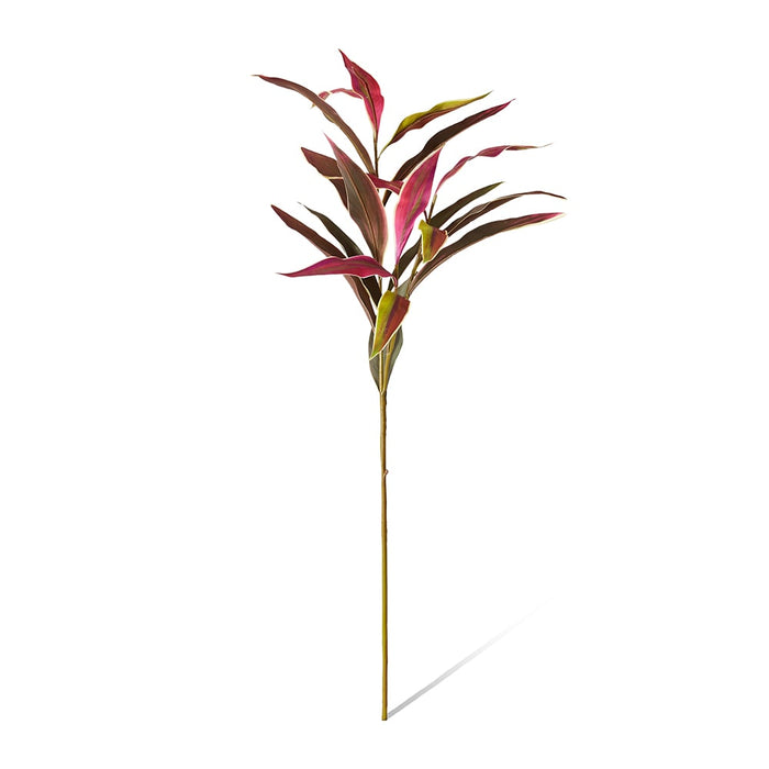 Cordyline Spray Pack Of 12 - Burgundy Green, 104cm (H)