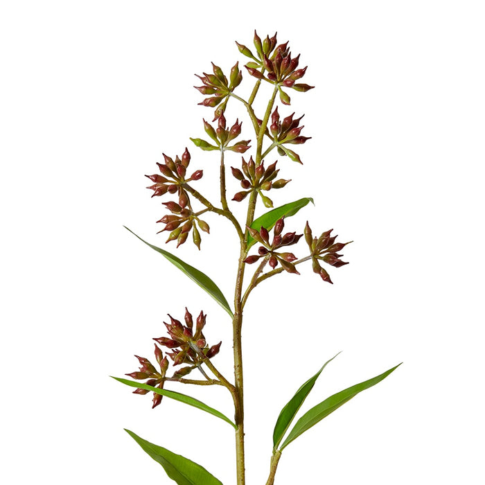 Eucalyptus Jarrah Seed Spray Pack Of 12 - Burgundy, 74cm (H)