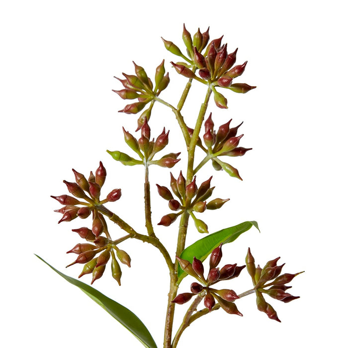 Eucalyptus Jarrah Seed Spray Pack Of 12 - Burgundy, 74cm (H)