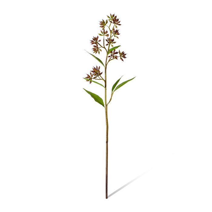 Eucalyptus Jarrah Seed Spray Pack Of 12 - Burgundy, 74cm (H)