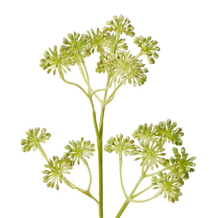 Seeding Berry Spray Pack Of 12 - Grey Green, 64cm (H)