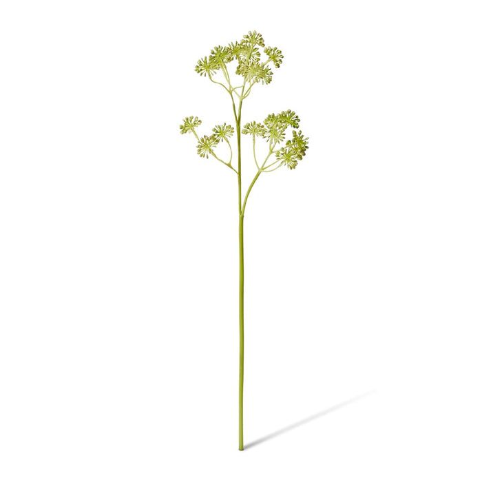 Seeding Berry Spray Pack Of 12 - Grey Green, 64cm (H)