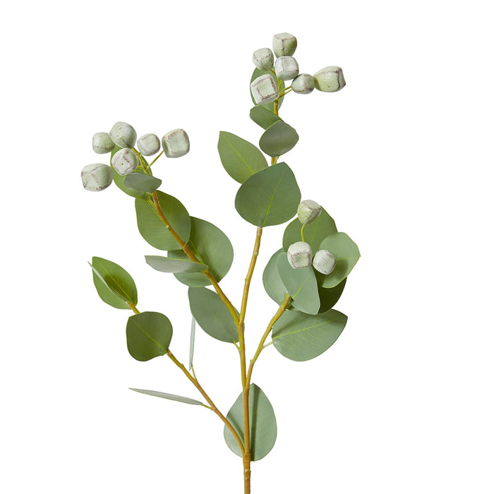 Eucalyptus Seed Pod Spray Pack Of 12 - Green, 74cm (H)