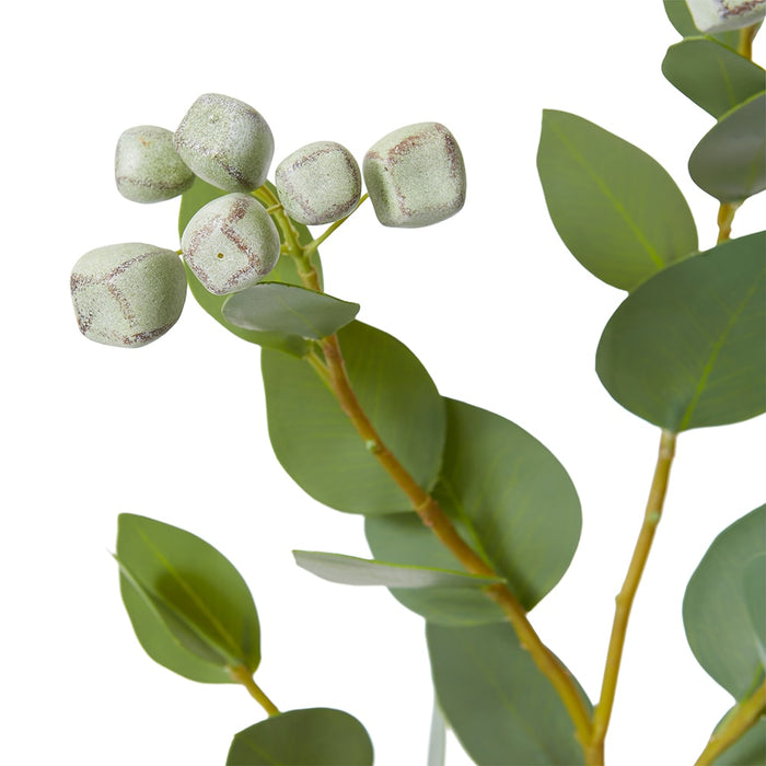 Eucalyptus Seed Pod Spray Pack Of 12 - Green, 74cm (H)