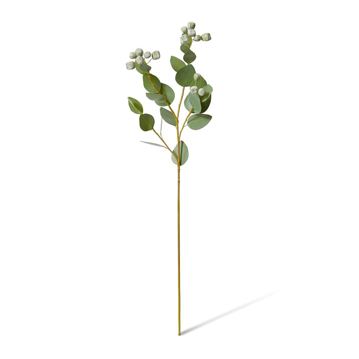 Eucalyptus Seed Pod Spray Pack Of 12 - Green, 74cm (H)