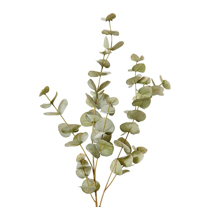 Eucalyptus Spray Pack of 12 - Grey Green, 99cm (H)