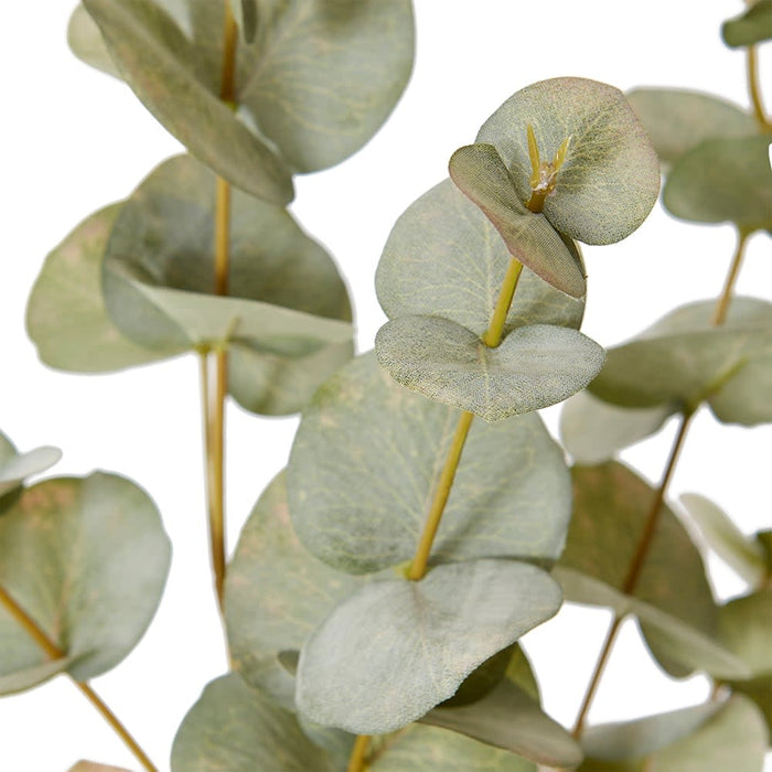 Eucalyptus Spray Pack of 12 - Grey Green, 99cm (H)