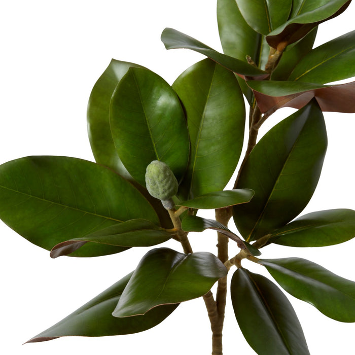 Magnolia Grand Leaves Branch Pack Of 6 - Green, 82cm (H)