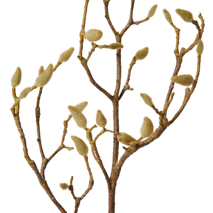 Magnolia Bud Branch Pack Of 6 - Natural, 86cm (H)