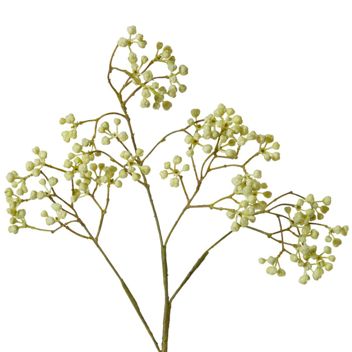Seeding Berry Stem Pack Of 12 - Light Green, 63cm (H)