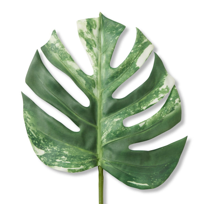 Monstera Lush Stem Pack Of 12 - Green White, 75cm (H)