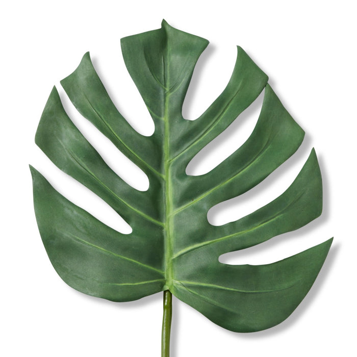 Monstera Lush Stem Pack Of 12 - Green, 75cm (H)