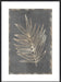 Gilded Botanical I Wall Art