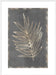 Gilded Botanical I Wall Art