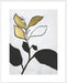 Hybrid Annuals II Wall Art