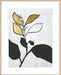 Hybrid Annuals II Wall Art