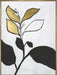 Hybrid Annuals II Wall Art