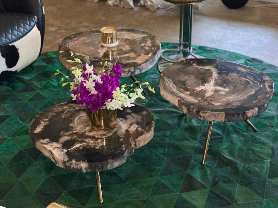 Poppy Petrified Wood Trio Nesting Coffee Table Set