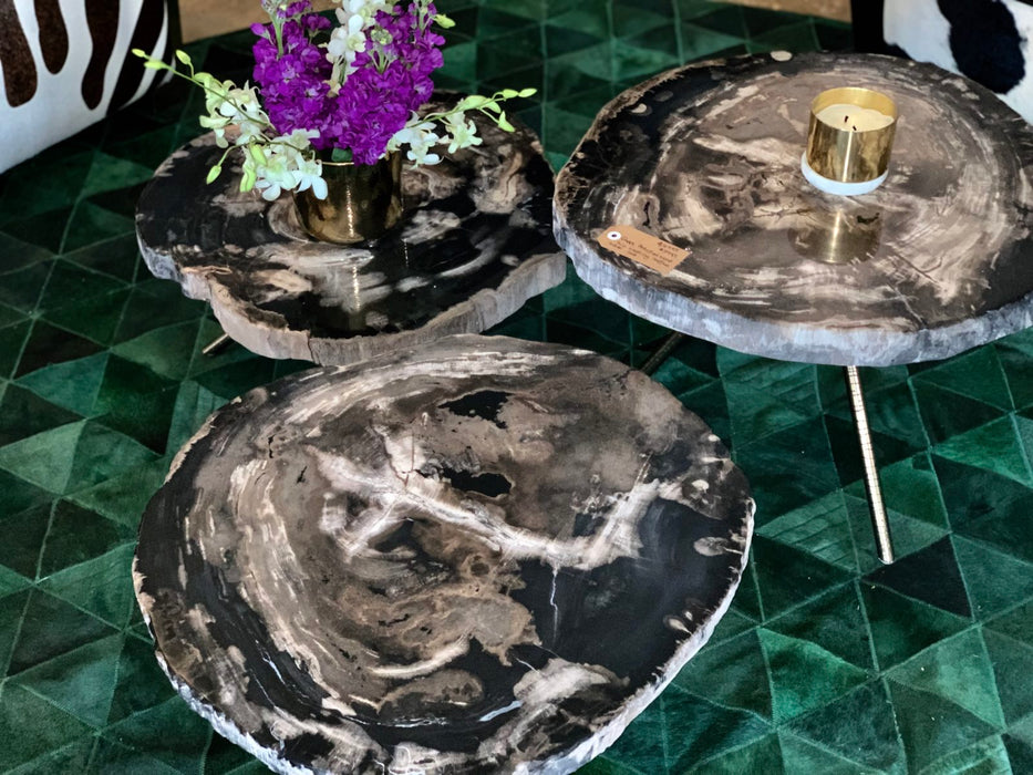 Poppy Petrified Wood Trio Nesting Coffee Table Set