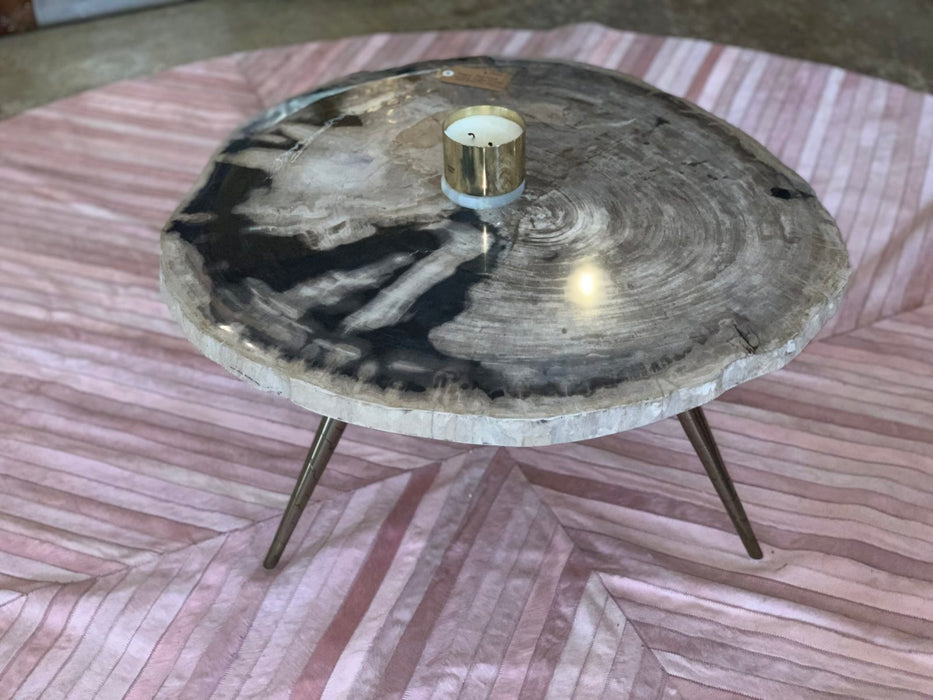 Petro Petrified Wood Coffee Table