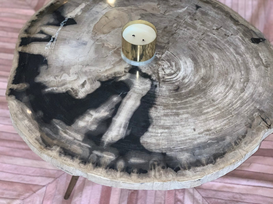 Petro Petrified Wood Coffee Table