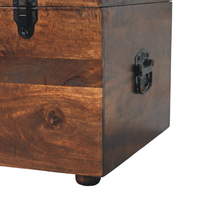 Brown Buffalo hide leather Storage Trunk - Brown, Leather