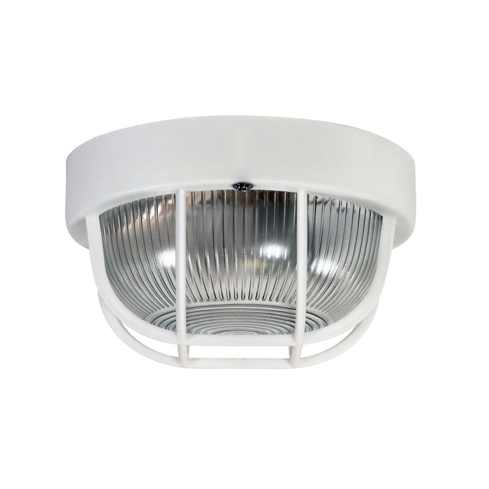 Rund White