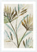 Leaf Shadows I Wall Art