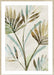 Leaf Shadows I Wall Art